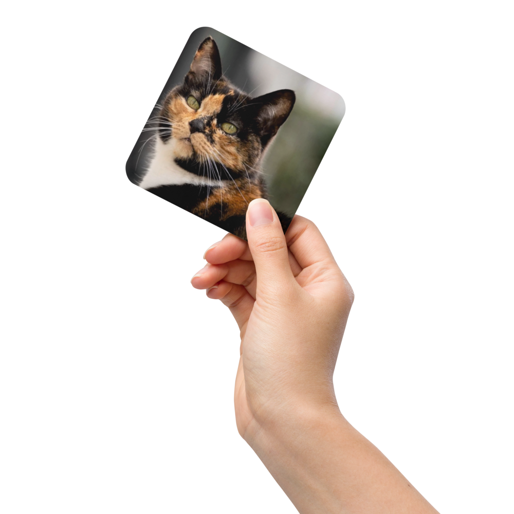 Posavasos Cuadrado de madera MDF Personalizados con reverso de corcho